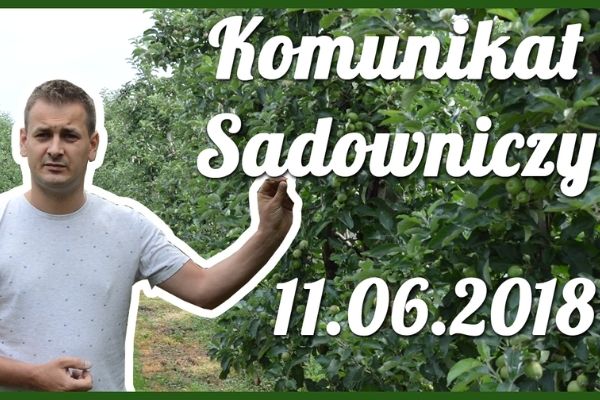 Komunikat sadowniczy nr 11 z dnia 11.06.2018 r.